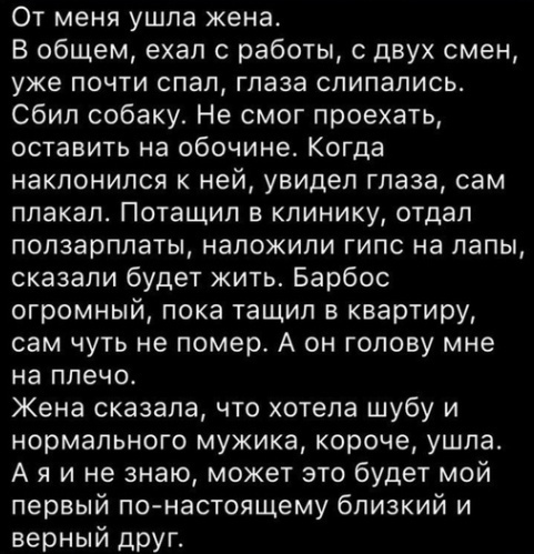 Кретинизмы из ЛМ и ЛЩ 16.03.21