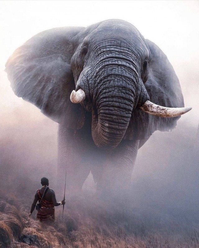 Шаверм из картинок на будень