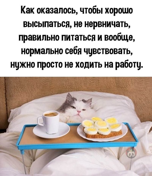 Баянисто-небаянистый юмор 23.08.21