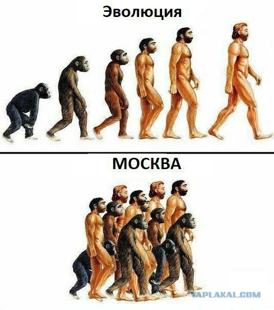 Вася Ложкин о москвичах