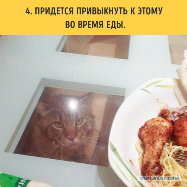 Паникёрам "скупальщикам"...