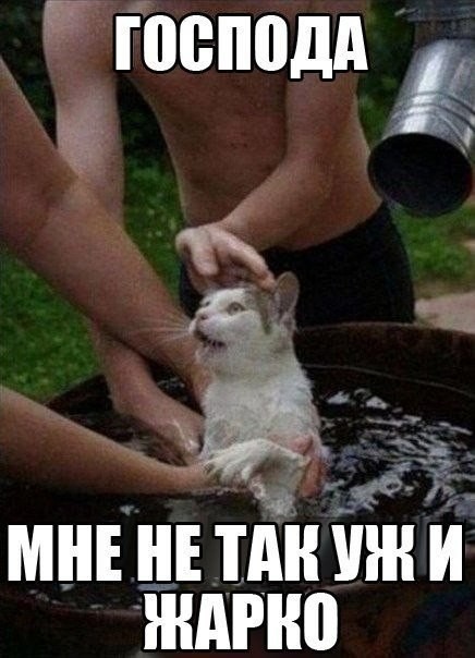 Медосмотр