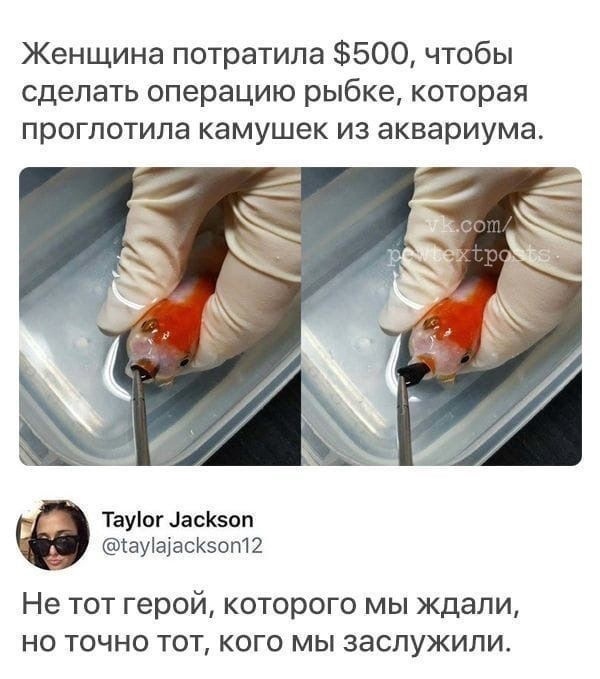 Так себе картинки 09.05.22