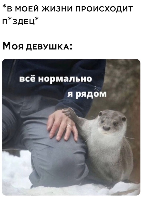 Картинки и мемы для настроения. Выходные скоро