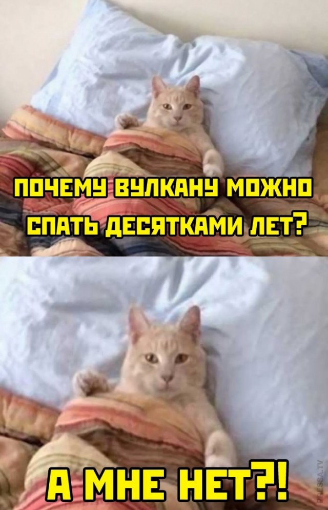 Картинки и мемы для настроения - 03
