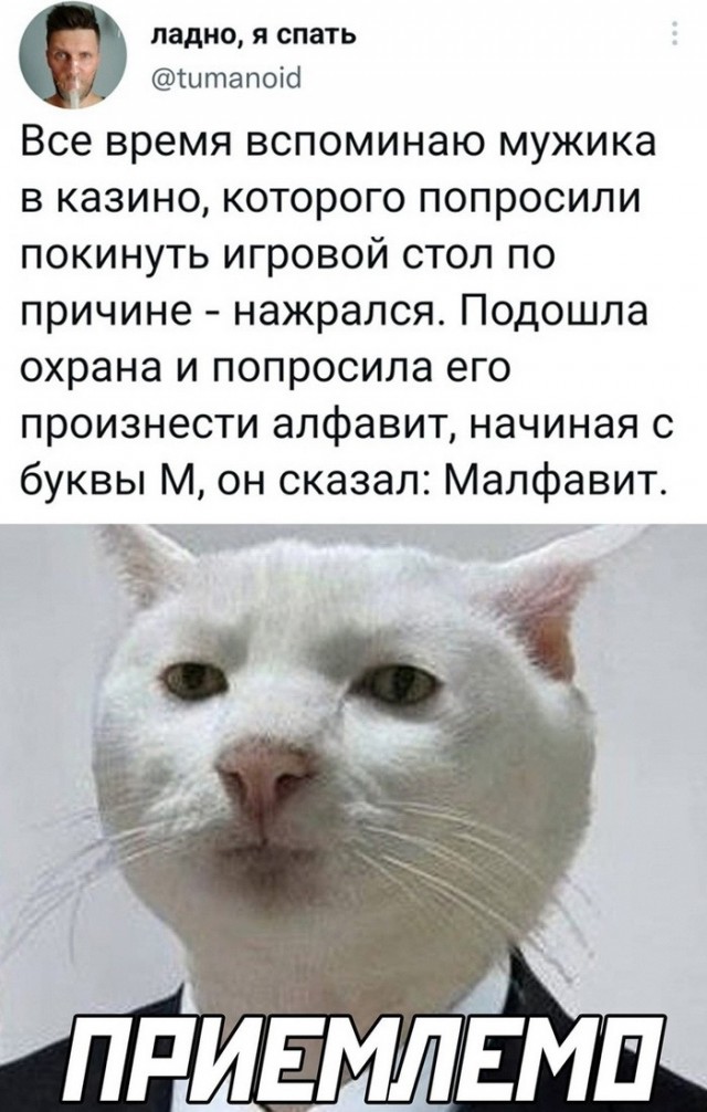 Картинки и мемы для настроения - 31