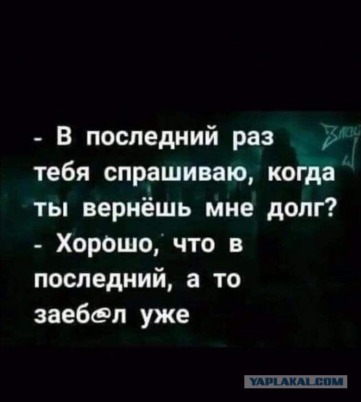 Весёлый полтишок 08.09.22