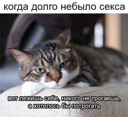Пердачки а-ля натюрель