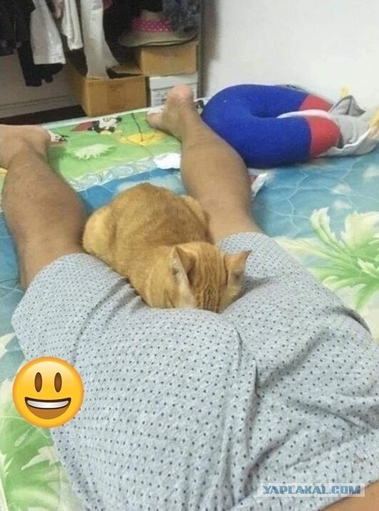 Кисковторник для взрослых