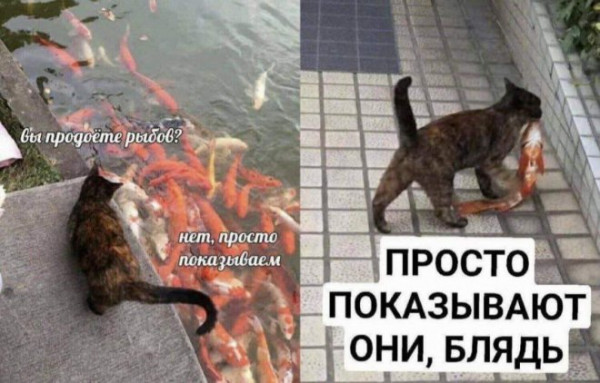50 оттенков серого или самосвал баянов. Vol.27