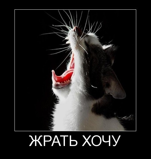Это всё моё производство