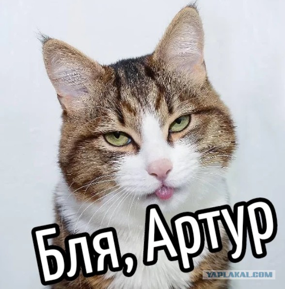 Житель Крыма нашёл в лесу три снаряда от «Града». И... конечно же решил их разобрать