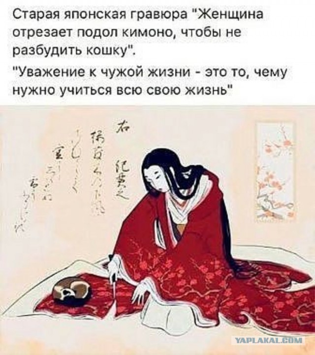 28 марта - день уважения кошек