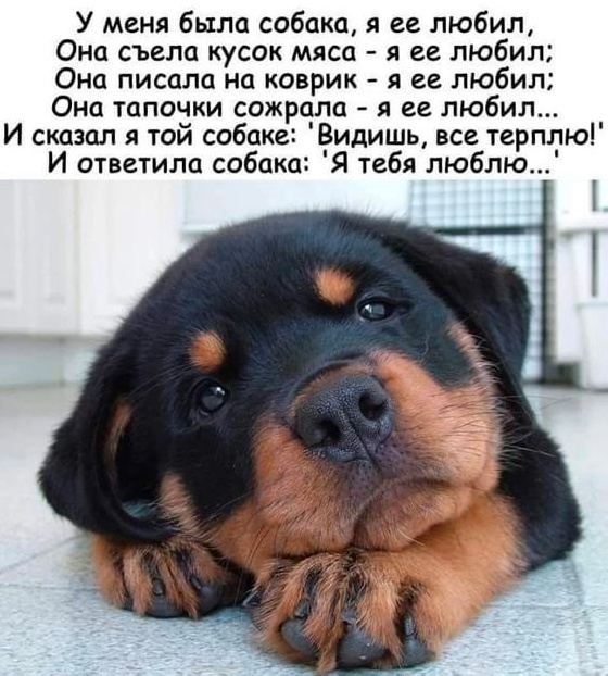 Всего понемногу. От 12.08