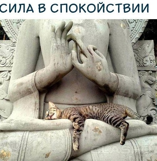Немного наркомании и шизофрении в ленту. Часть 2