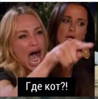 Очередная яжмать в такси г. Саратов