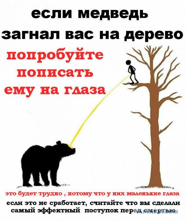 Так себе картинки 24.10.24