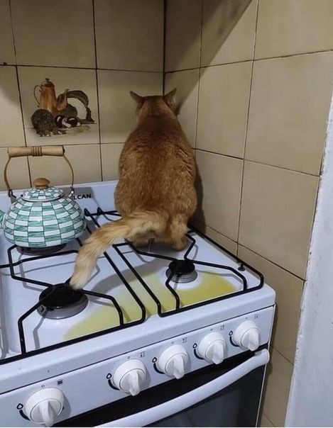 Выбрал себе дом