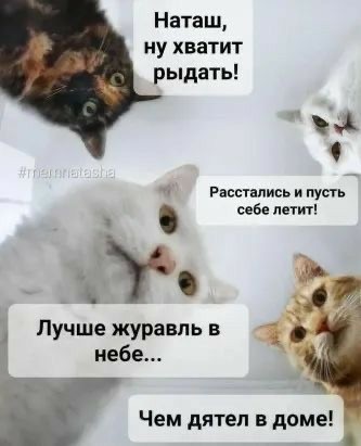 Завалялось тут случайно немного забавных картинок