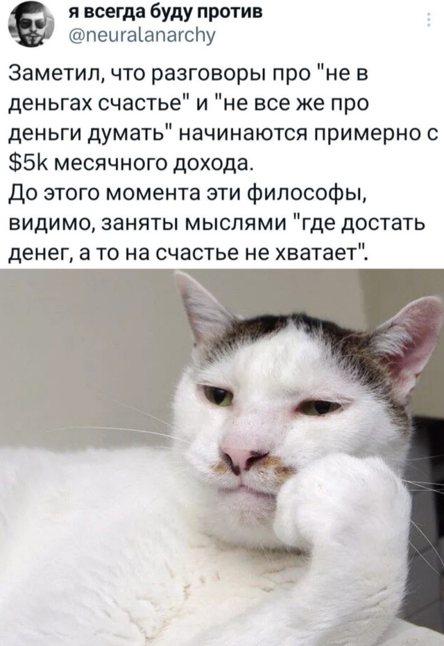 Весёлый полтишок 25.12.24