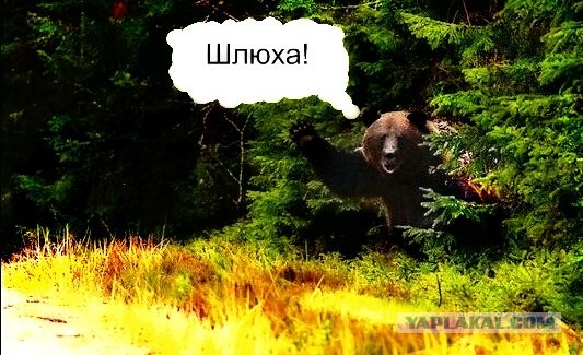 Очень правильное декольте!