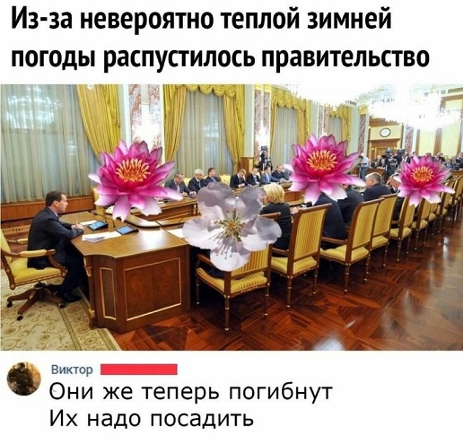 Хорошо, когда отдохнул на природе