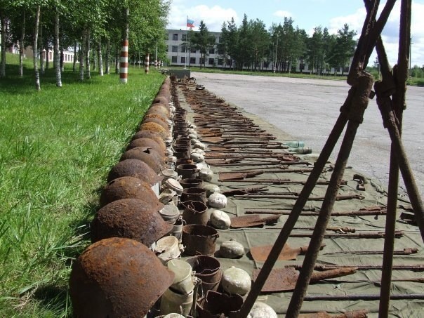 Выборг: шестеро на вырубке