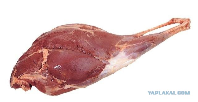 Бесит через экран