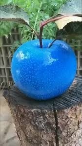 Ребенок от любовника - говорить мужу или нет? Обычная история с женского форума.