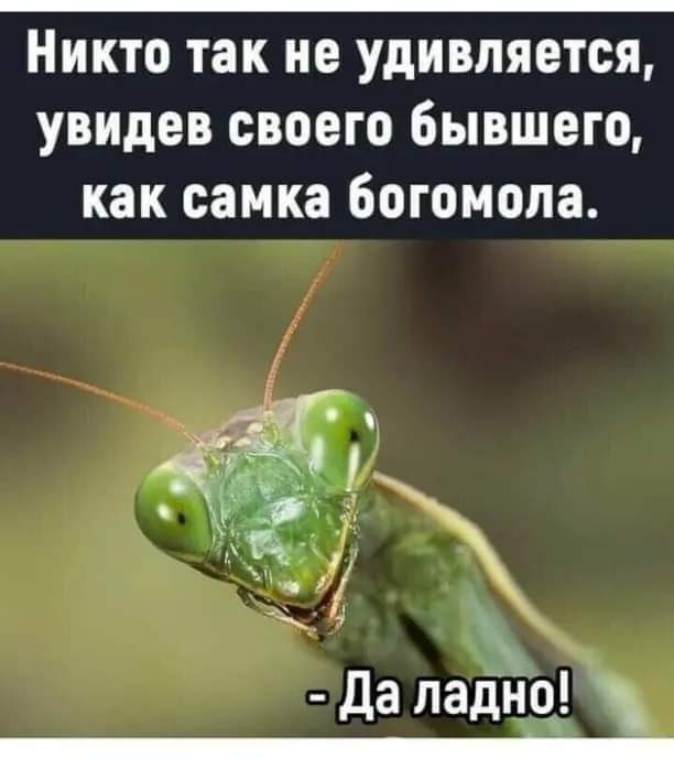Вот и вся любовь