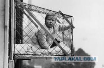 В России готовят ГОСТ на антимоскитные сетки, — депутат Госдумы Буцкая