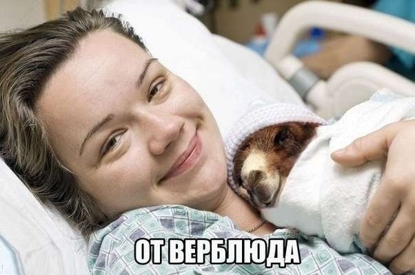 Картиночки, баянчики 30 мая