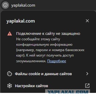yap.ru работает, а yaplakal.com нет.