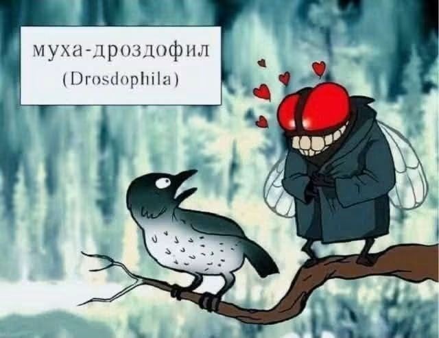 Картинки для деградации 281 (разной степени свежести)