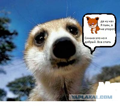 Нарисуй ЯПовца пейнтом
