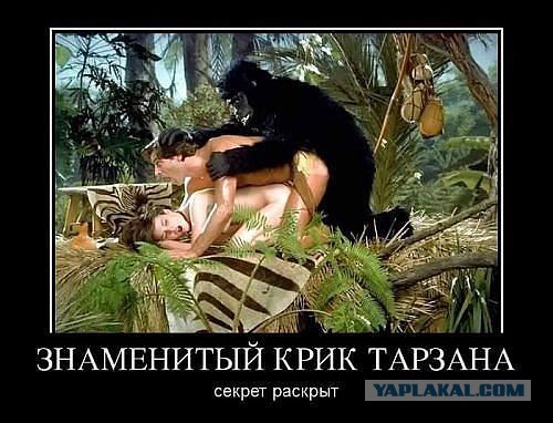 Не юкки ради, улыбки для...