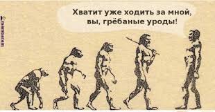 600 миллионов лет эволюции человека за 15 секунд
