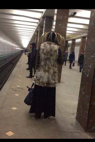 Ужасы и приколы из соцсетей