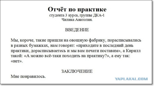 Хроники соцсетей