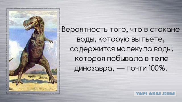 Интересные факты о разном