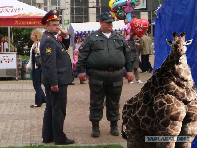 На страже закона