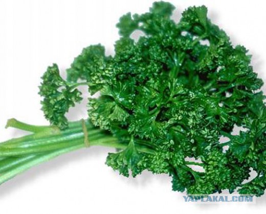 Как мы соседа учили стейки готовить