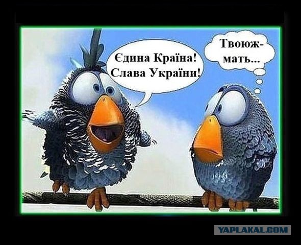 Ганапольский послал в жопу радиослушателя