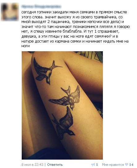 Ужасы и приколы из соцсетей 18+