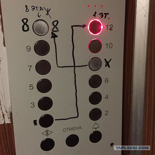 Ужасы и приколы из соцсетей 18+