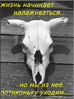 Смешные картинки