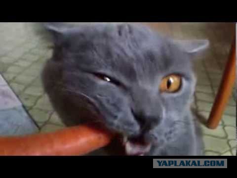 Как правильно давить слезу