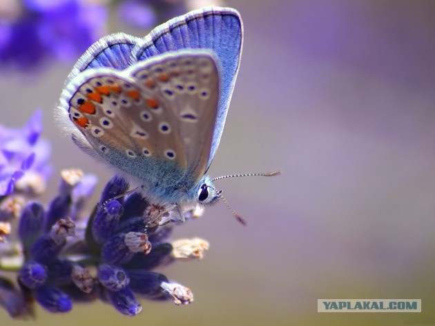 Подборка картинок 01.03.16