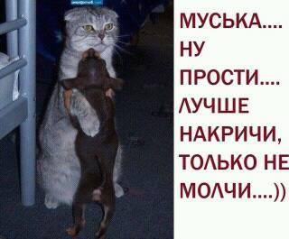 Улов из соцсетей