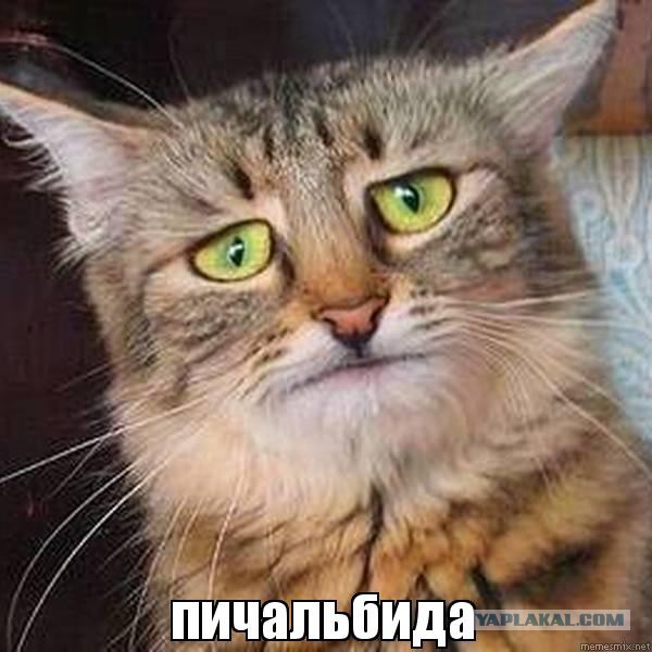 Вейперский клуб